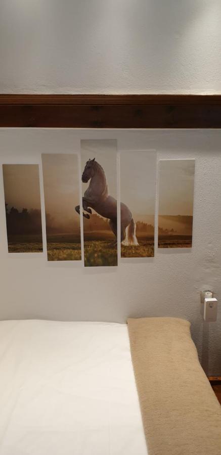 Astraka Guesthouse I Pápingo Eksteriør bilde